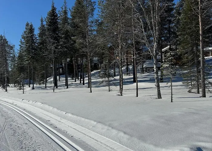 ヴィラ Private Log Cabin, Porosalmi *